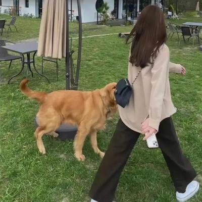 恶行之外